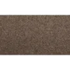 Dynamic Quality I by Mohawk Flooring – Sheepskin