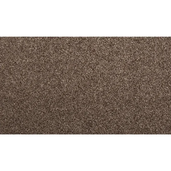 Dynamic Quality I by Mohawk Flooring – Sheepskin