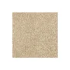 Elegant Appeal I by Mohawk Flooring – Abyss
