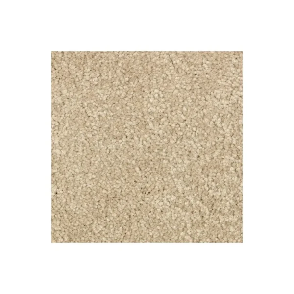 Elegant Appeal I by Mohawk Flooring – Abyss