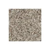 Color Fusion I by Mohawk Flooring – Bridle