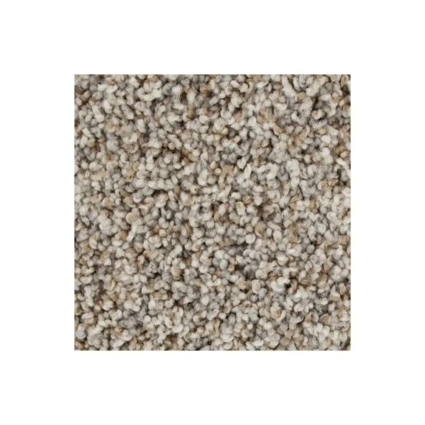 Color Fusion I by Mohawk Flooring – Bridle