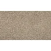 Color Classics I by Mohawk Flooring – Gravity