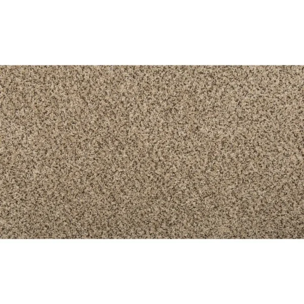 Renovate II by Mohawk Flooring – Birdbath
