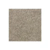 Delicate Tones I by Mohawk Flooring – Alden Charcoal