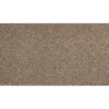 Dynamic Quality I by Mohawk Flooring – Sheepskin