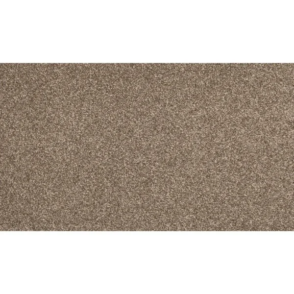 Dynamic Quality I by Mohawk Flooring – Sheepskin