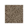 Color Fusion I by Mohawk Flooring – Bridle