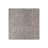 Exquisite Tones by Mohawk Flooring – Classical