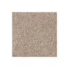 Elegant Appeal I by Mohawk Flooring – Abyss