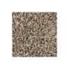 Color Fusion I by Mohawk Flooring – Bridle