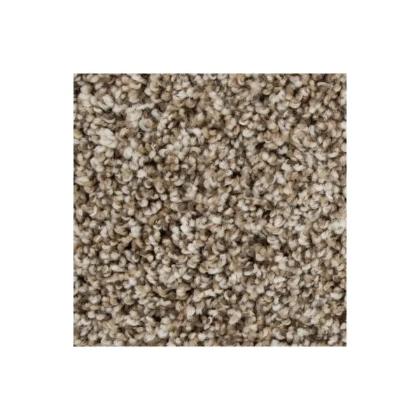 Color Fusion I by Mohawk Flooring – Bridle