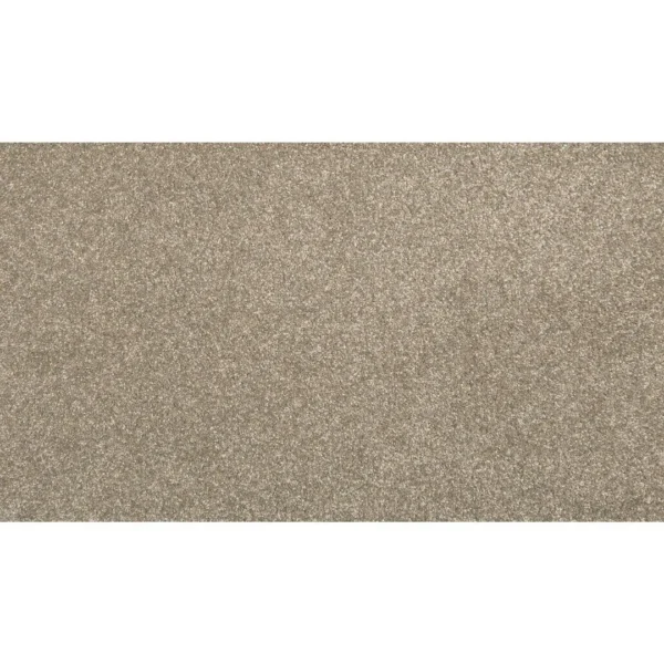 Dynamic Quality I by Mohawk Flooring – Sheepskin