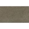 Gentle Path by Mohawk Flooring – Chalice