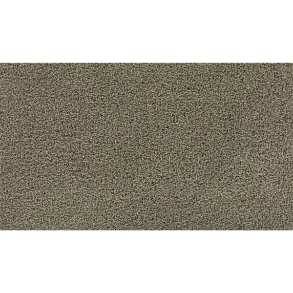 Gentle Path by Mohawk Flooring – Chalice