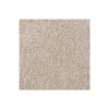 Delicate Tones I by Mohawk Flooring – Alden Charcoal