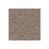 Classic Style by Mohawk Flooring – Angel Silk