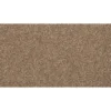 Color Classics I by Mohawk Flooring – Gravity