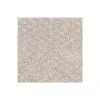 Graceful Manner by Mohawk Flooring – Blue Ice