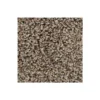 Color Fusion I by Mohawk Flooring – Bridle