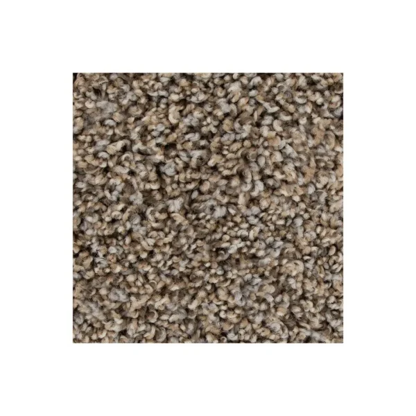 Color Fusion I by Mohawk Flooring – Bridle