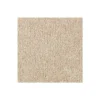 Elegant Appeal I by Mohawk Flooring – Abyss