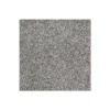 Exquisite Shades by Mohawk Flooring – Fine Silk
