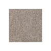 Delicate Tones I by Mohawk Flooring – Alden Charcoal