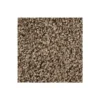 Color Fusion I by Mohawk Flooring – Bridle