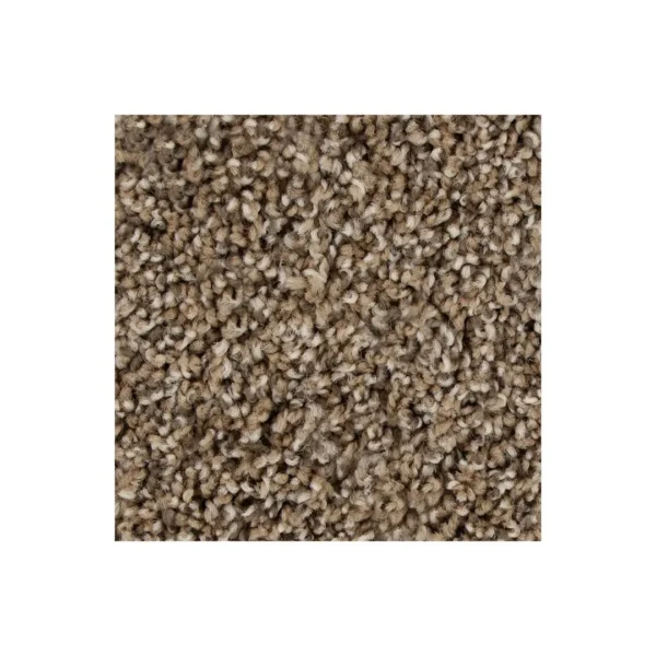 Color Fusion I by Mohawk Flooring – Bridle