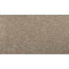 Renovate II by Mohawk Flooring – Birdbath